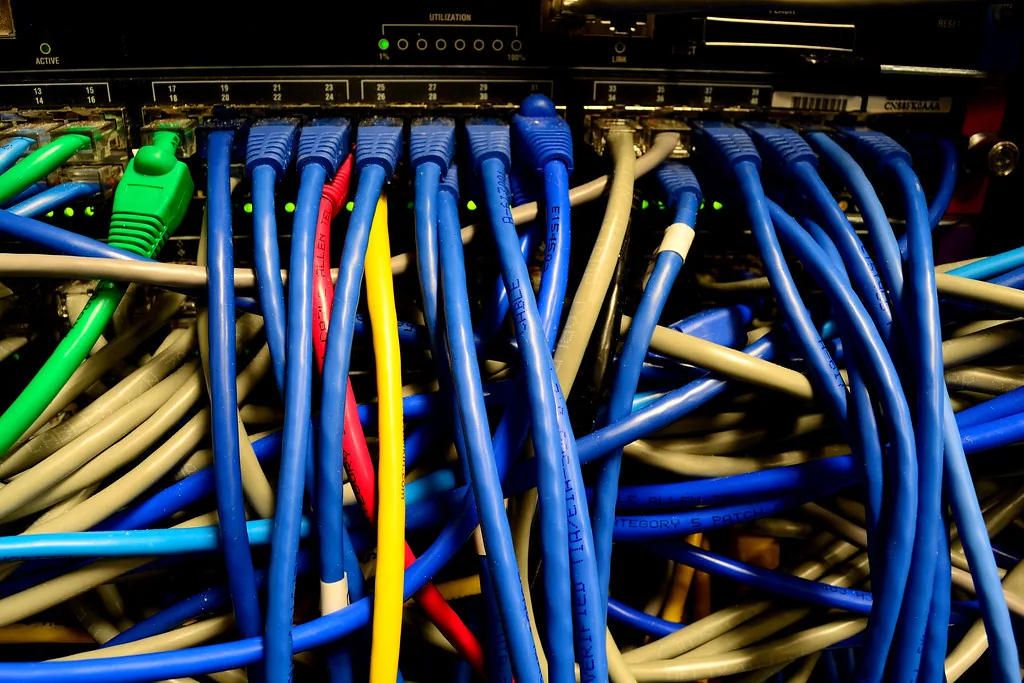 Ethernet patch cables connected to a network switch